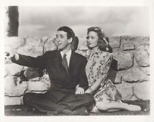 It's A Wonderful Life james Stewart Donna Reed sit on grass 8x10 inch photo picture