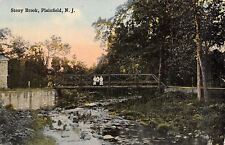 Plainfield New Jersey~Stony Brook~Victorian Girls on Bridge~1910 Postcard picture