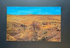 Montana MT Postcard Custer Battlefield National Monument picture
