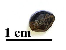 RARE Meteorite Sericho, pallasite, Kenya, oriented individual, 0.29 gr picture