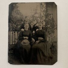 Antique 1/2 Plate Tintype Group Photograph Beautiful Woman Family Outdoors picture