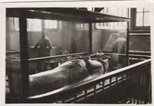 CAIRO MUSEUM. KING TUT'S RELICS, Egypt - Vintage 3.25 x 2.25 Inch PHOTO (c1930s) picture
