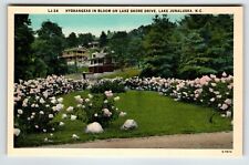 Hydrangeas Lake Shore Drive Lake Junaluska North Carolina Linen Postcard Unused picture