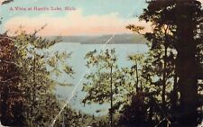 Ludington Hamlin Lake MI Michigan Vista Hendrickson c1912 Vtg Postcard B53 picture