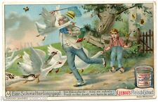 Chromo Liebig. S761. (1904) . Hunting Aux Butterflies. Chasing Butterflies picture
