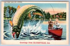 1940-50's GREETINGS FROM MANDEVILLE LOUISIANA LA EXAGGERATED FISH POSTCARD picture