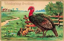 Thanksgiving Greetings Turkey with Poults Vintage PC Posted 1909 picture