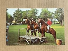 Postcard Berrien Springs MI Michigan Pennellwood Resort Horse Show Vintage PC picture