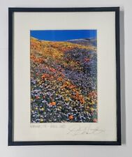 Wildflower Landscape Artist PHOTO Super Bloom in California Desert Framed Matted picture