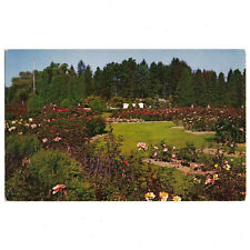 Seattle Washington - Woodland Park Rose Garden : C8715 - unposted picture