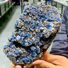 1.61LB Rare transparent blue cubic fluorite mineral crystal specimen/China picture