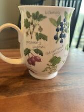 Dunoon FRUIT GARDEN Mug Cup- by KATHY PICKLES Fine Bone China RARE- MINT picture