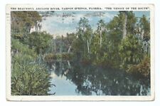 Tarpon Springs FL Postcard Florida River Scenic c1920 picture