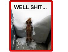 Funny Dachshund Dog In Snow Refrigerator / Tool Box  Magnet picture
