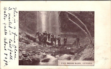 Vintage Postcard 1908 Fall Brook Basin Waterfall Geneseo New York picture