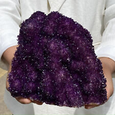 6.3LB Very Rare Natural Amethyst Flower Cluster Specimen Healing picture