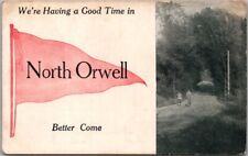 1914 NORTH ORWELL, Pennsylvania Greetings Postcard 'We're Having a God Time