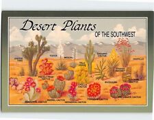 Postcard Desert Plants Of The Southwest USA picture