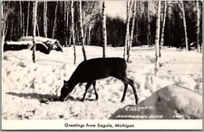 Vintage 1940s SAGOLA, Michigan RPPC Real Photo Postcard 