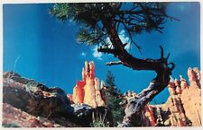 Vintage Bryce Canyon Utah UT Bryce Canyon National Park Queen's Garden Postcard picture