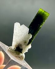 6.0  Gram. Very Beautiful Terminated Natural Green Cap Tourmaline Crystals. picture
