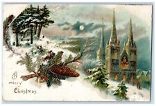c1910's Merry Christmas Pine Cone Pine Tree Church Winter Embossed Postcard picture