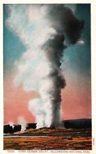 Postcard Giant Geyser 250 FT Yellowstone National Park picture