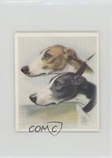 1939 Godfrey Phillips Our Dogs Tobacco The Greyhound #19 a8x picture