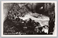 RPPC Florence Oregon Sea Lion Cave c1950 Real Photo Postcard picture