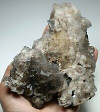 650g Natural Cubic Purplish Fluorite Crystals on matrix, beautiful specimen- Pak picture