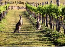 Australia New South Wales Hunter Valley Vineyards Kangaroo New Unposted #045 picture