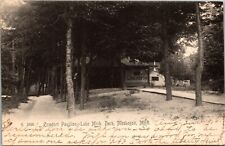 Vintage Postcard - Pavilion at Lake Michigan Park Muskegon Michigan picture