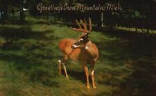 Postcard MI Greetings from Iron Mountain Michigan Deer 1957 Vintage PC e6334 picture
