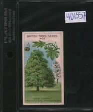 1911 Cadbury's Bournville British Trees - #6 Horse Chestnut (401557) picture