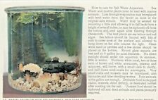 Vintage Postcard  FISH  MARINE AQUARUIM W/ SEA ANEMONES, NY AQUARIUM  UNPOSTED picture