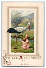 c1910's Stork Delivering Twin Babies John Winsch Artist Signed Embossed Postcard picture