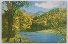 Greetings From Rumford Maine Vintage Chrome Postcard Mountains Stream View picture