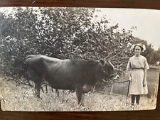 Antique RPPC Young Girl Leading a Cow Photo Postcard picture