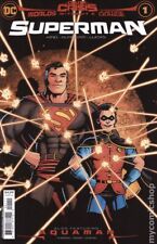 Dark Crisis Worlds Without a Justice League Superman 1A Burnham NM 2022 picture