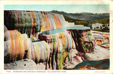 Haynes MAMMOTH HOT SPRINGS TERRACES Yellowstone Park Wyoming Postcard picture