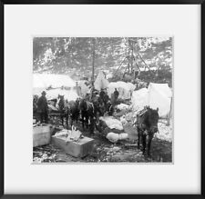 1898 Photo A picturesque street in Sheep Camp, Alaska Men, horses, tents, etc.; picture