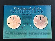 Postcard - The Legend of the Sand Dollar - Excellent Condition picture