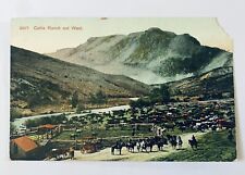 Vintage Postcard Cattle Ranch Out West 2871 picture