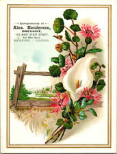 Victorian Advertising Card Floral Lily Alex Henderson Druggist Rockford Illinois picture