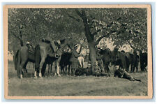 c1940's Czech Republic Mounted Patrol at Rest Unposted Vintage WW1 Postcard picture