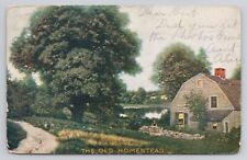 The Old Homestead Grafton Illinois 1907 Antique Postcard picture