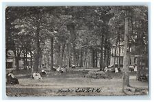 c1940s Scene at Mountain Lake Park Maryland MD Unposted Vintage Postcard picture