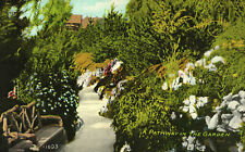 Postcard A Pathway In The Garden CA California picture