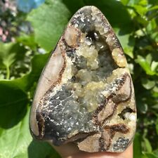 1003g Natural Yellow Dragon Septarian Freeform Quartz Cluster Crystal Healing picture