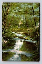 Conneaut OH-Ohio, A Pretty View, Gent, Antique Vintage c1909 Souvenir Postcard picture